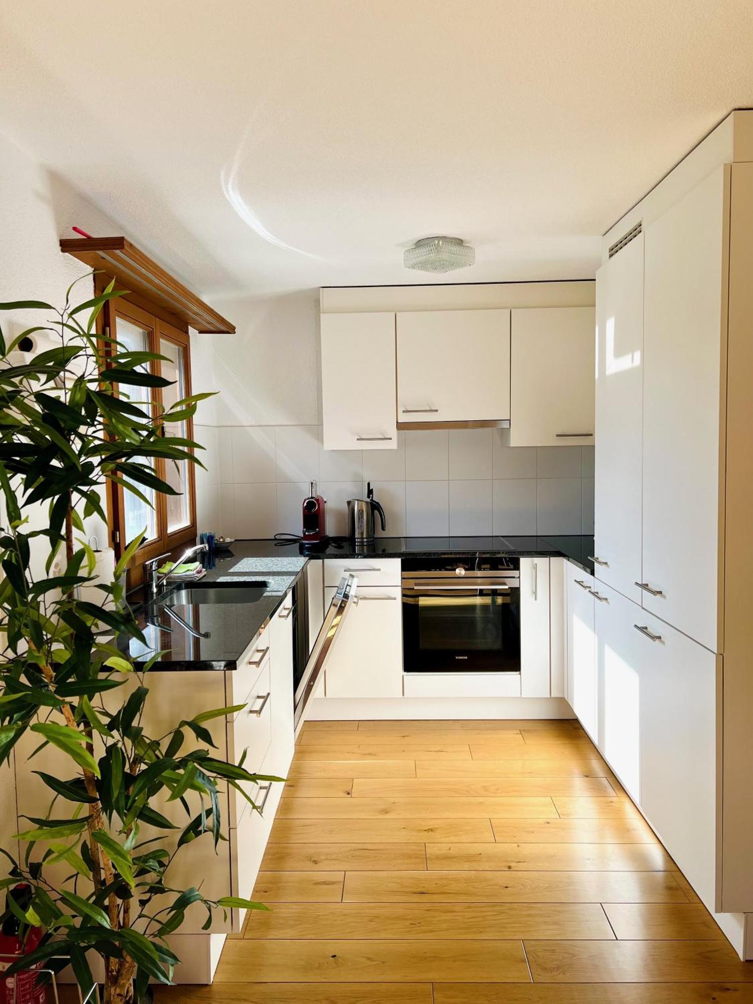 Hofstetten bei Brienz Maisonette 4.5 Zimmer, Naehe Ballenberg מראה חיצוני תמונה